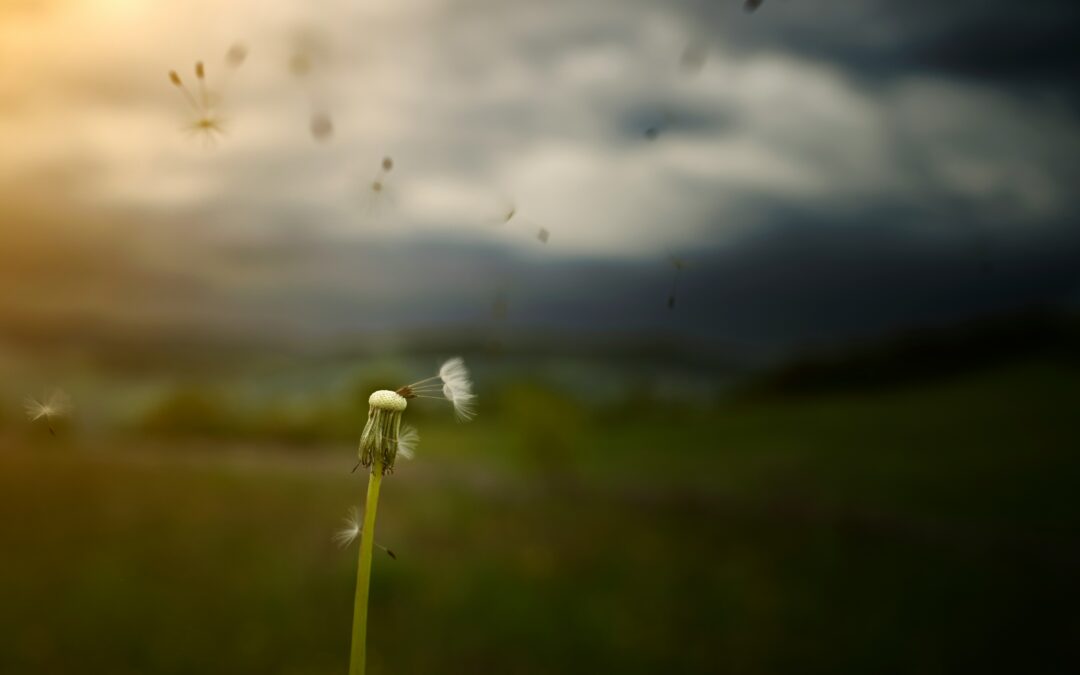 The First Morning After: Learning to Live with Absence