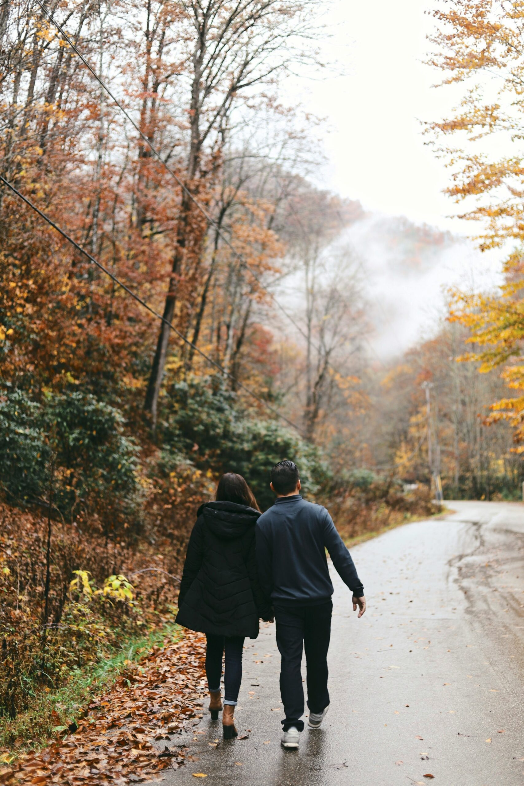 Couple walking hand in hand along a quiet autumn road surrounded by trees.